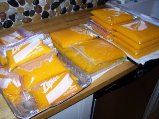 Tips  For Freezing Baked Pumpkins